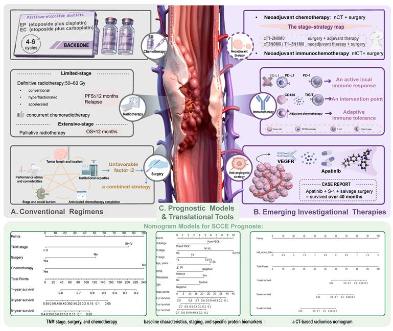 Int J Biol Sci Image