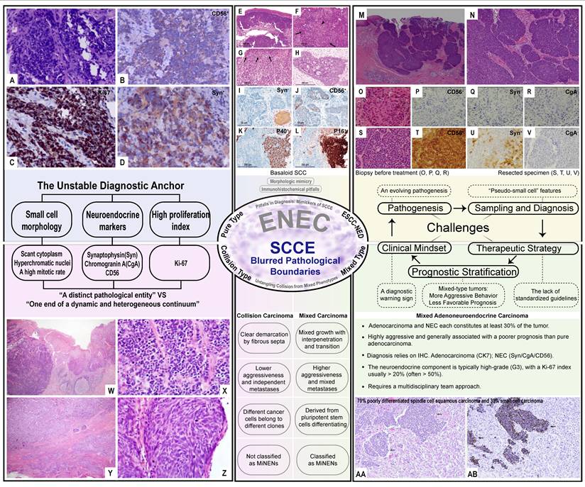 Int J Biol Sci Image