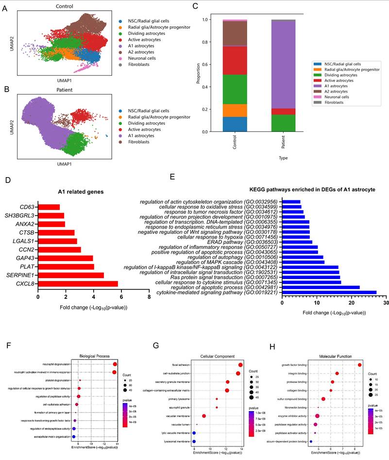 Int J Biol Sci Image