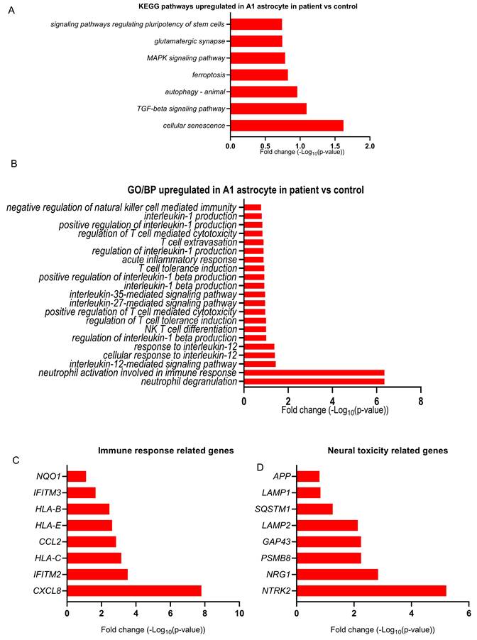Int J Biol Sci Image