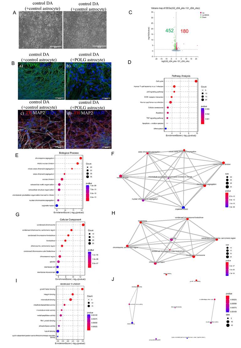 Int J Biol Sci Image