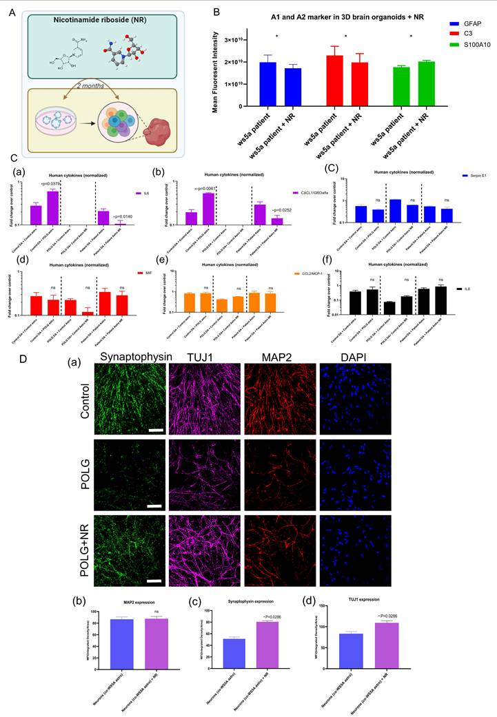 Int J Biol Sci Image