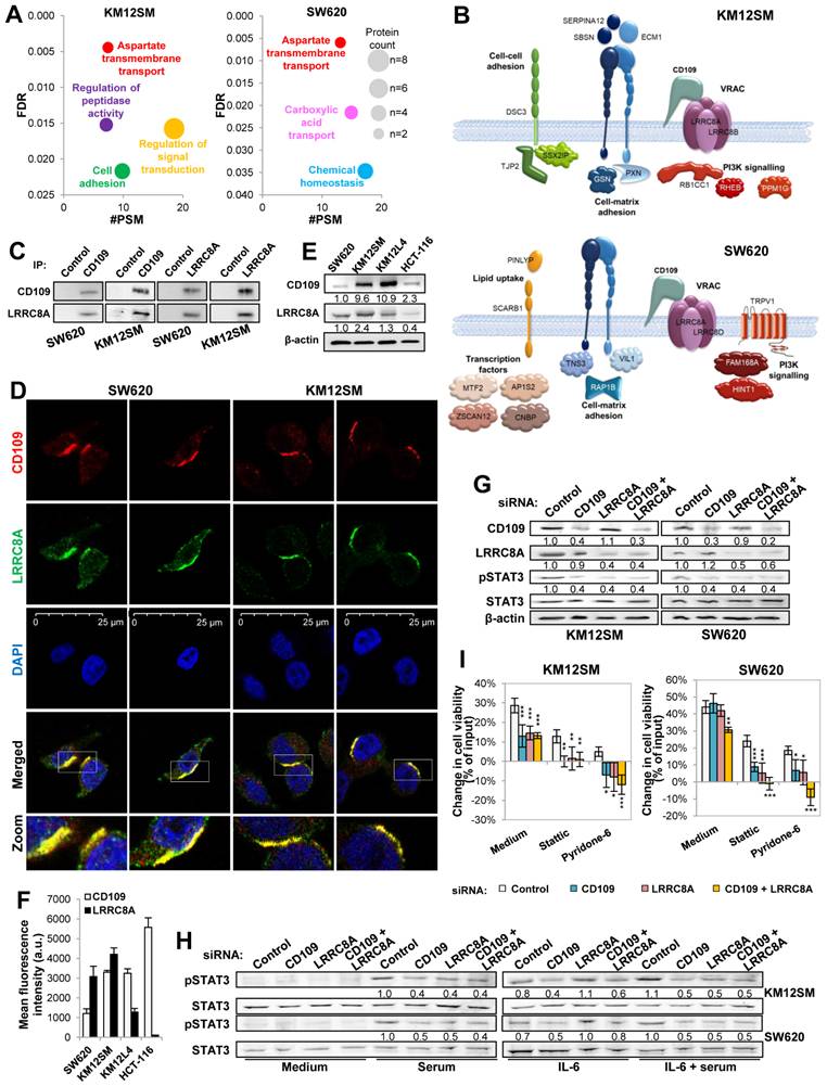 Int J Biol Sci Image