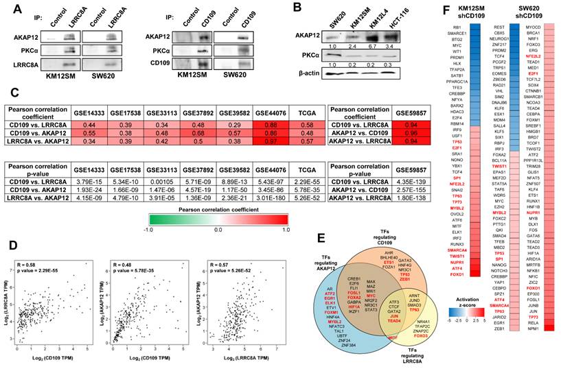 Int J Biol Sci Image