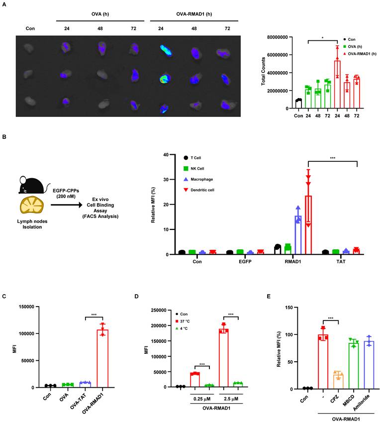Int J Biol Sci Image