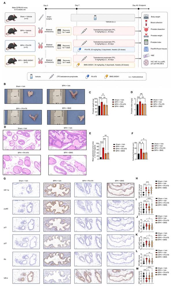 Int J Biol Sci Image