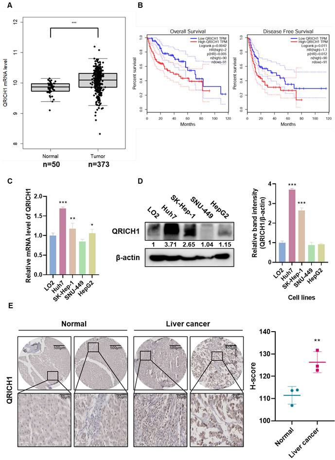 Int J Biol Sci Image