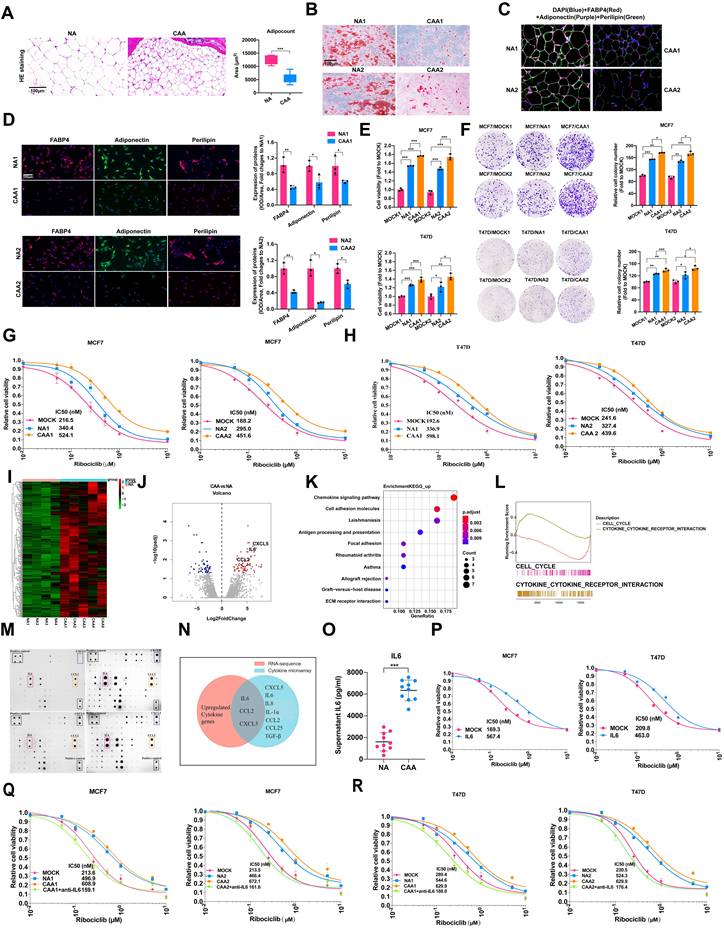 Int J Biol Sci Image