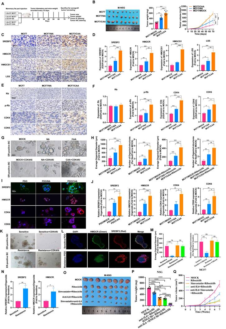 Int J Biol Sci Image