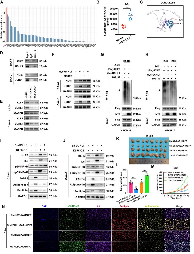 Int J Biol Sci Image