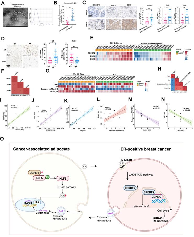 Int J Biol Sci Image