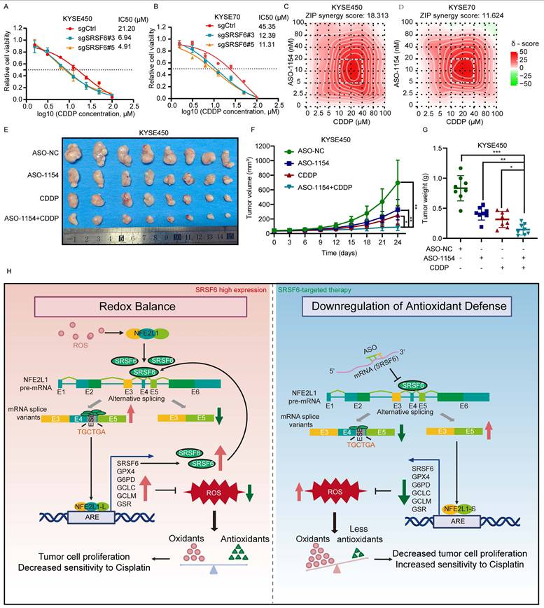 Int J Biol Sci Image