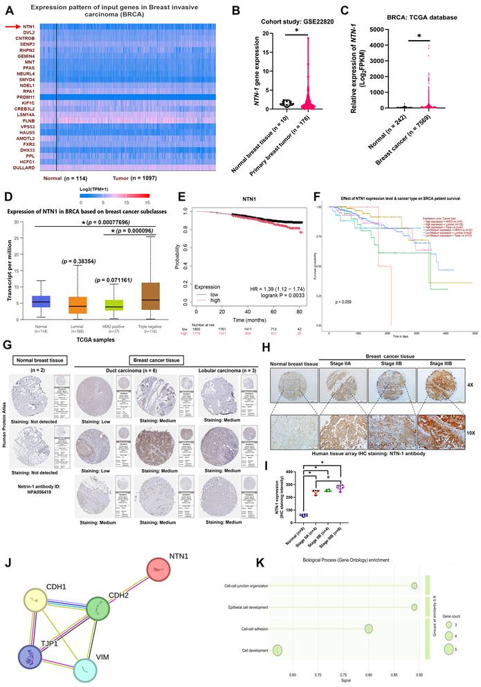 Int J Biol Sci Image