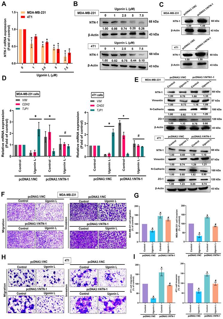Int J Biol Sci Image