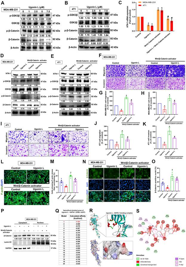 Int J Biol Sci Image