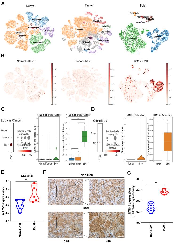 Int J Biol Sci Image