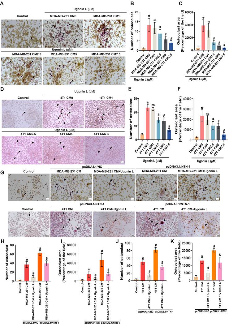 Int J Biol Sci Image