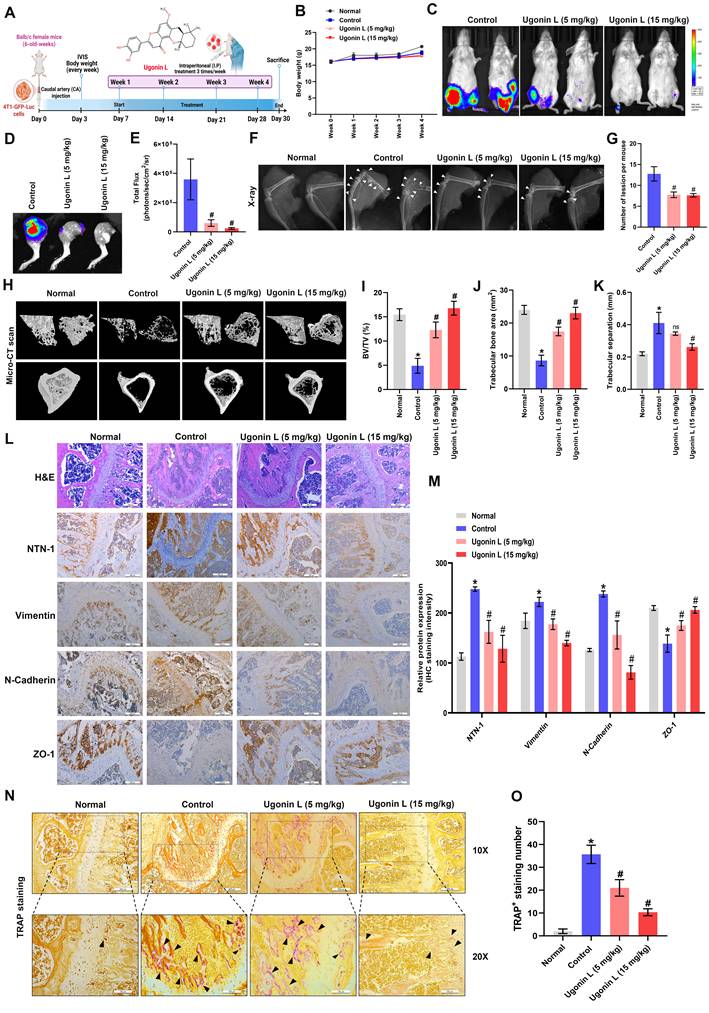 Int J Biol Sci Image