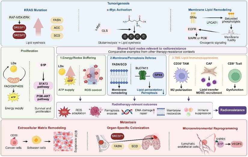 Int J Biol Sci Image