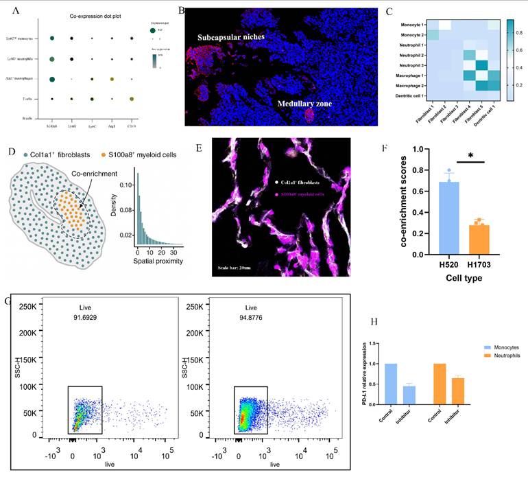 Int J Biol Sci Image