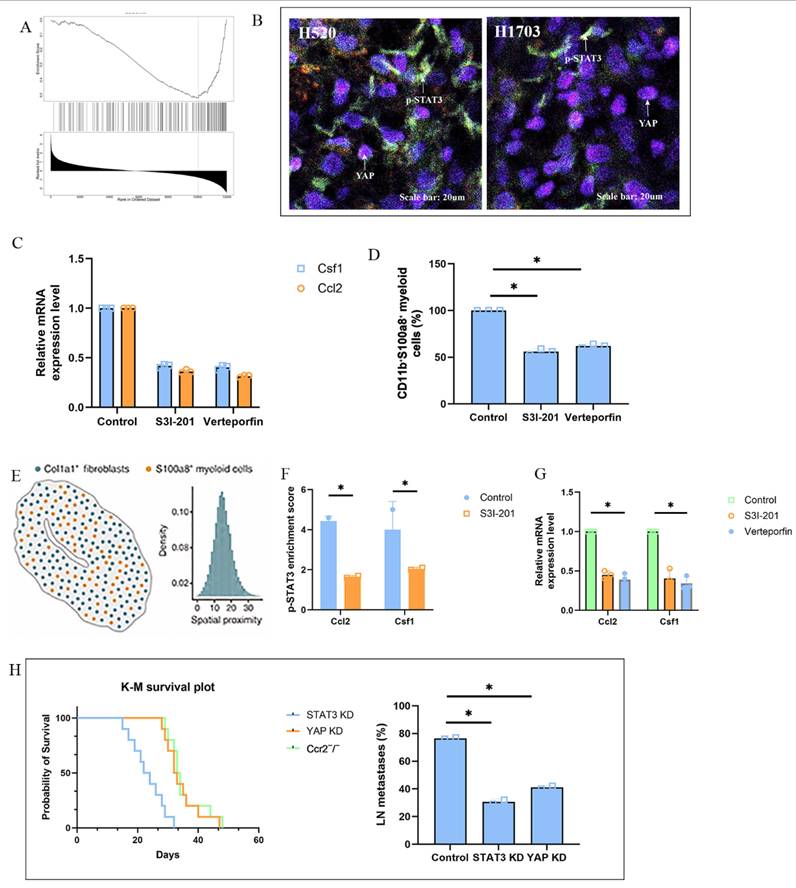 Int J Biol Sci Image