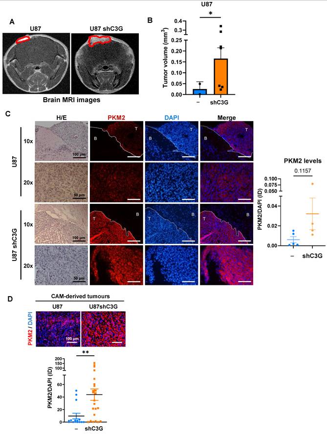 Int J Biol Sci Image