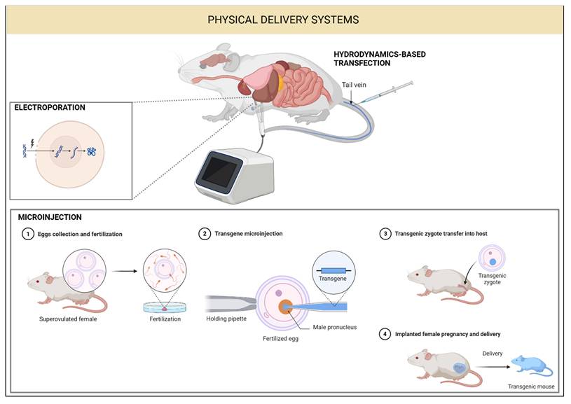 Int J Biol Sci Image