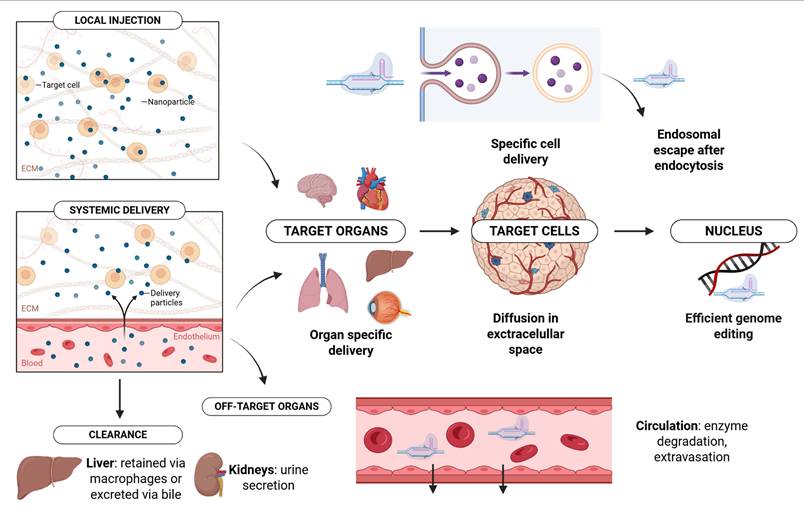 Int J Biol Sci Image