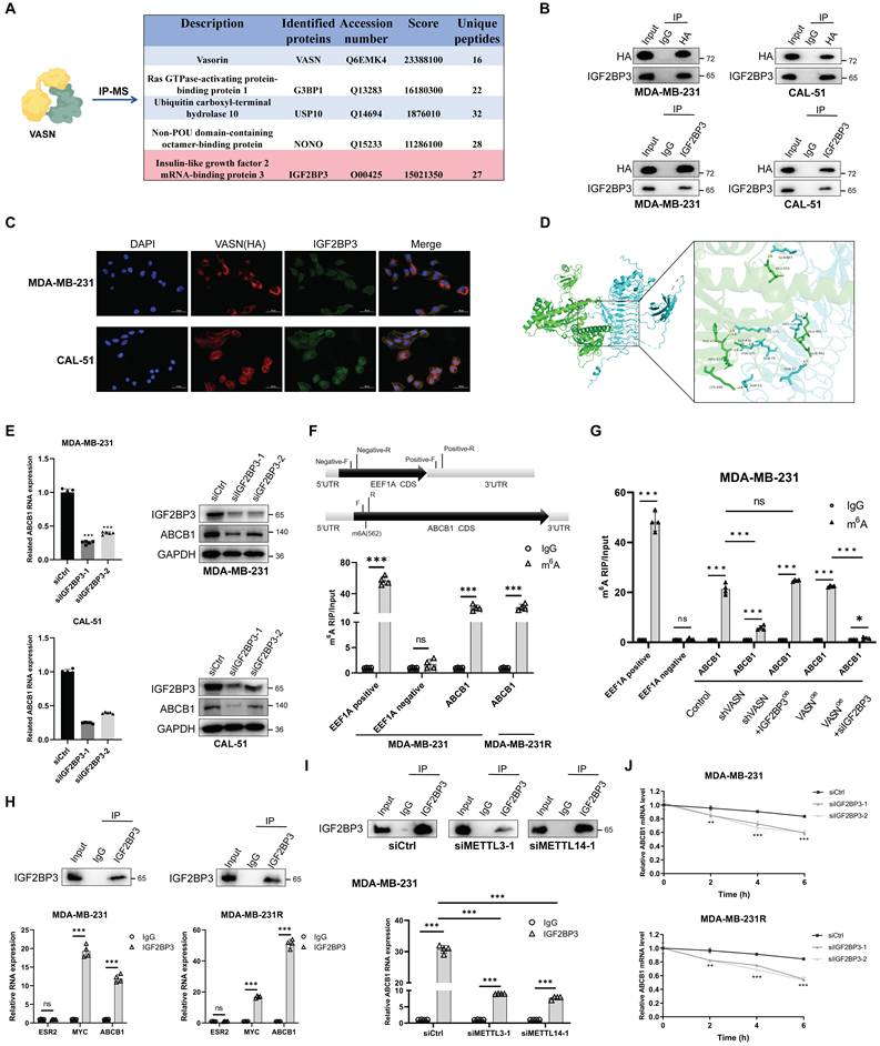 Int J Biol Sci Image