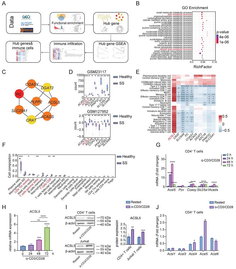 Int J Biol Sci Image