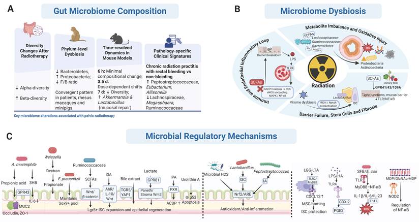 Int J Biol Sci Image