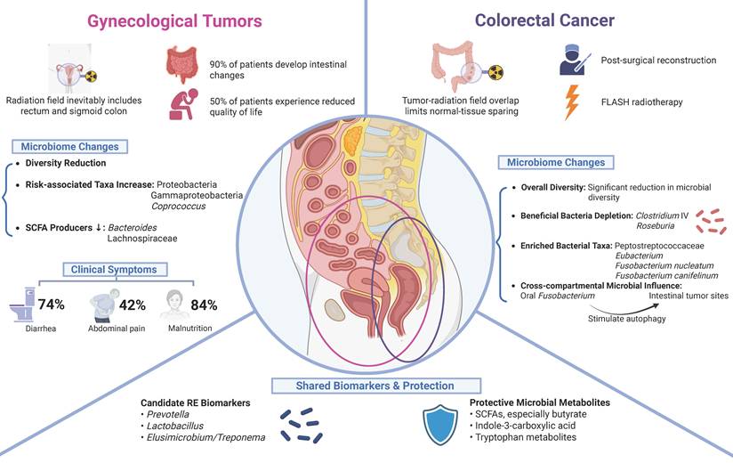 Int J Biol Sci Image