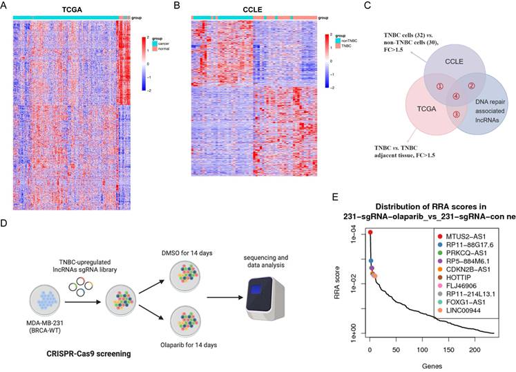 Int J Biol Sci Image