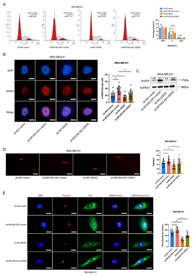 Int J Biol Sci Image