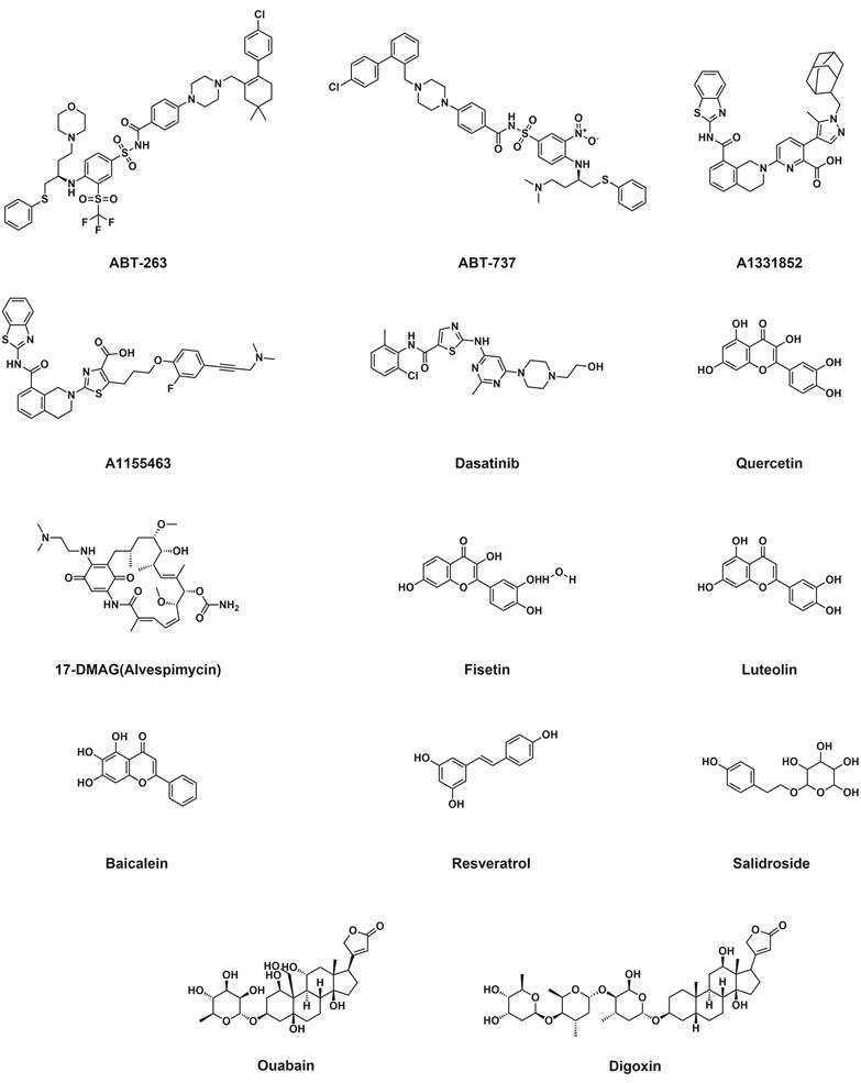 Int J Biol Sci Image