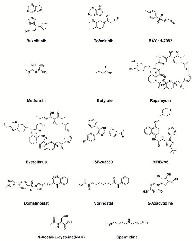 Int J Biol Sci Image