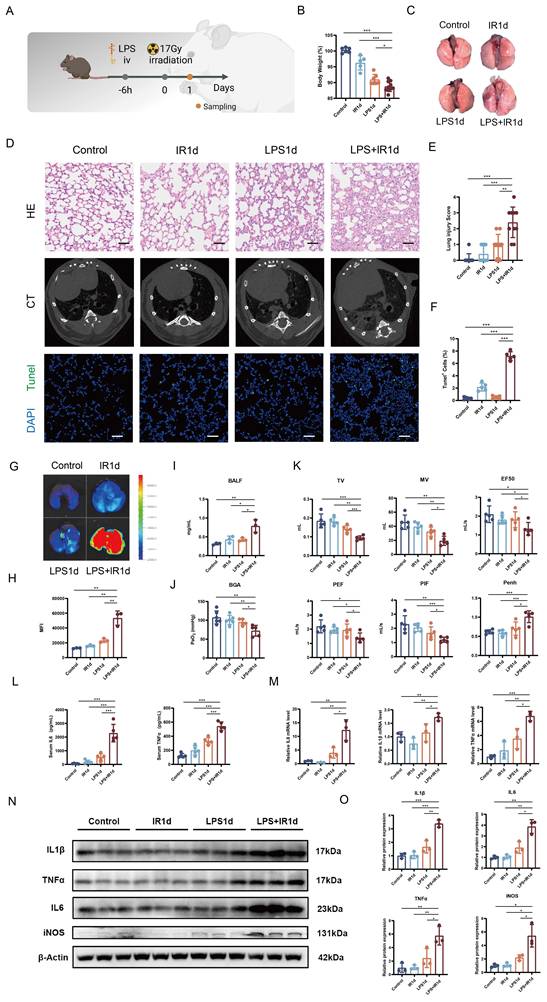 Int J Biol Sci Image