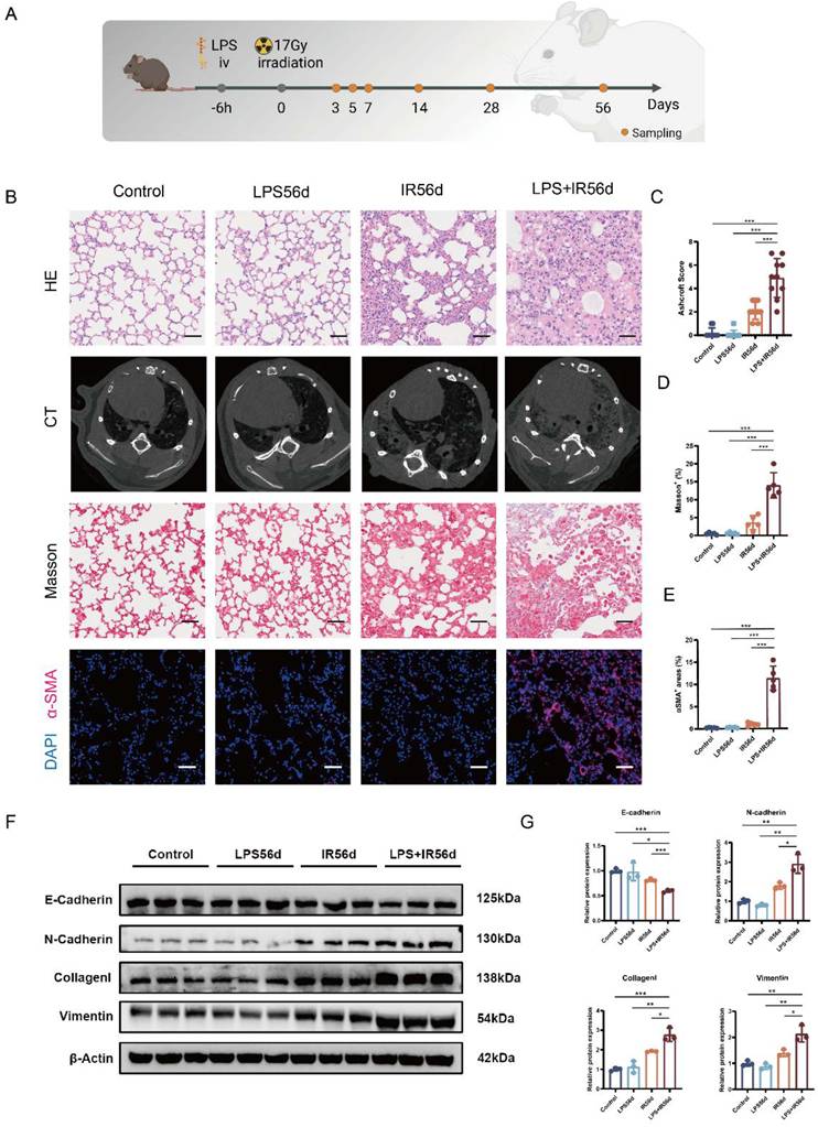 Int J Biol Sci Image