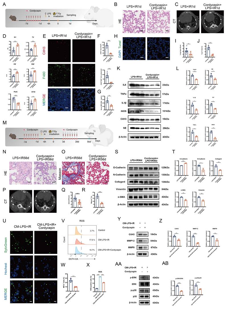 Int J Biol Sci Image