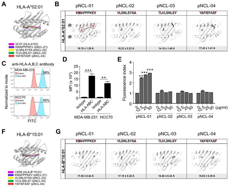 Int J Biol Sci Image