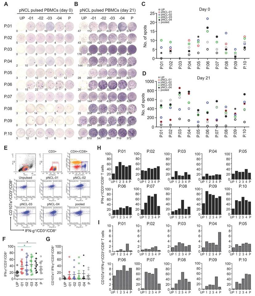 Int J Biol Sci Image