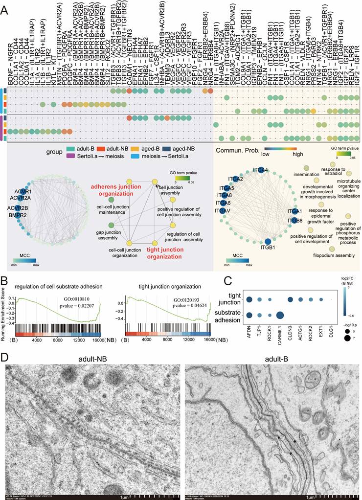 Int J Biol Sci Image