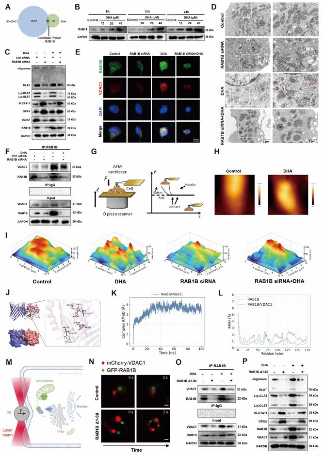 Int J Biol Sci Image