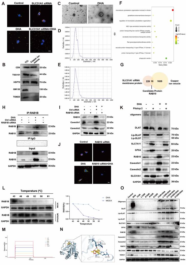 Int J Biol Sci Image