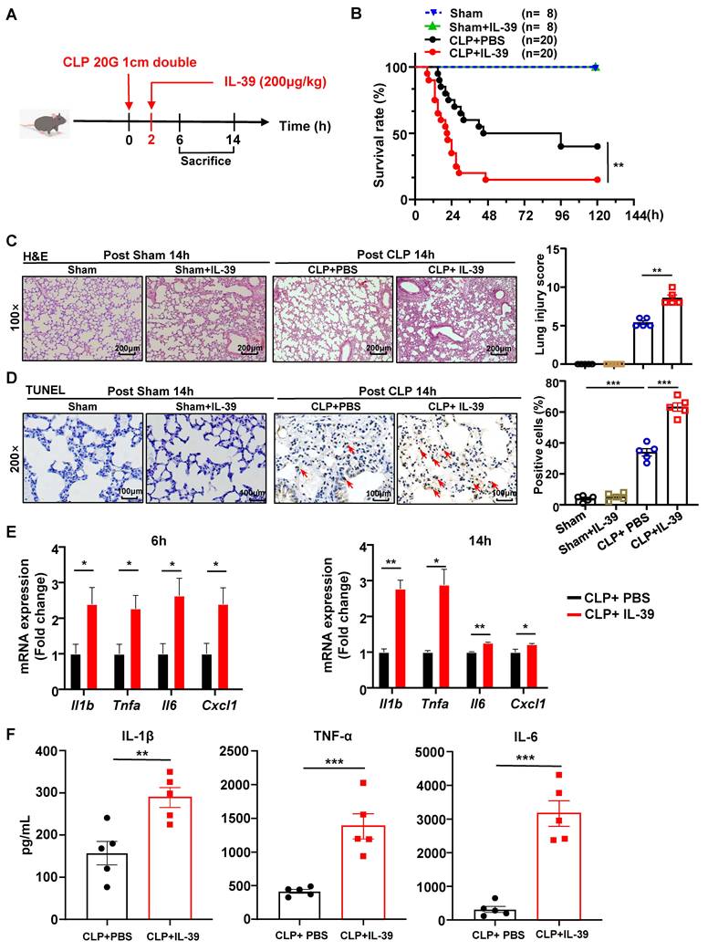 Int J Biol Sci Image