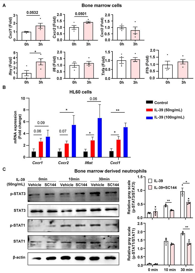 Int J Biol Sci Image