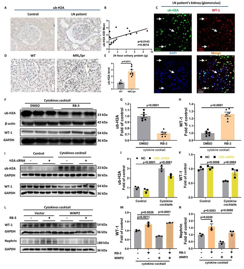 Int J Biol Sci Image