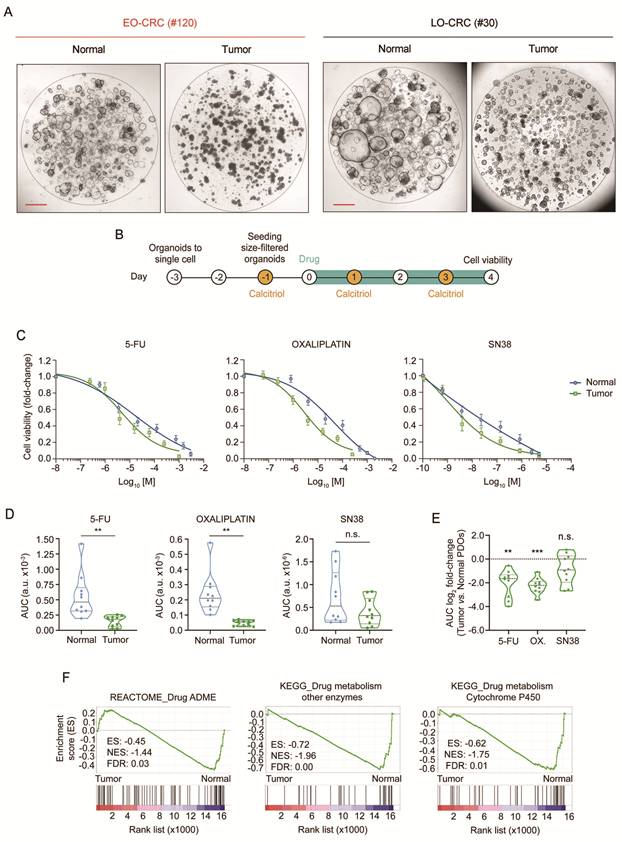 Int J Biol Sci Image