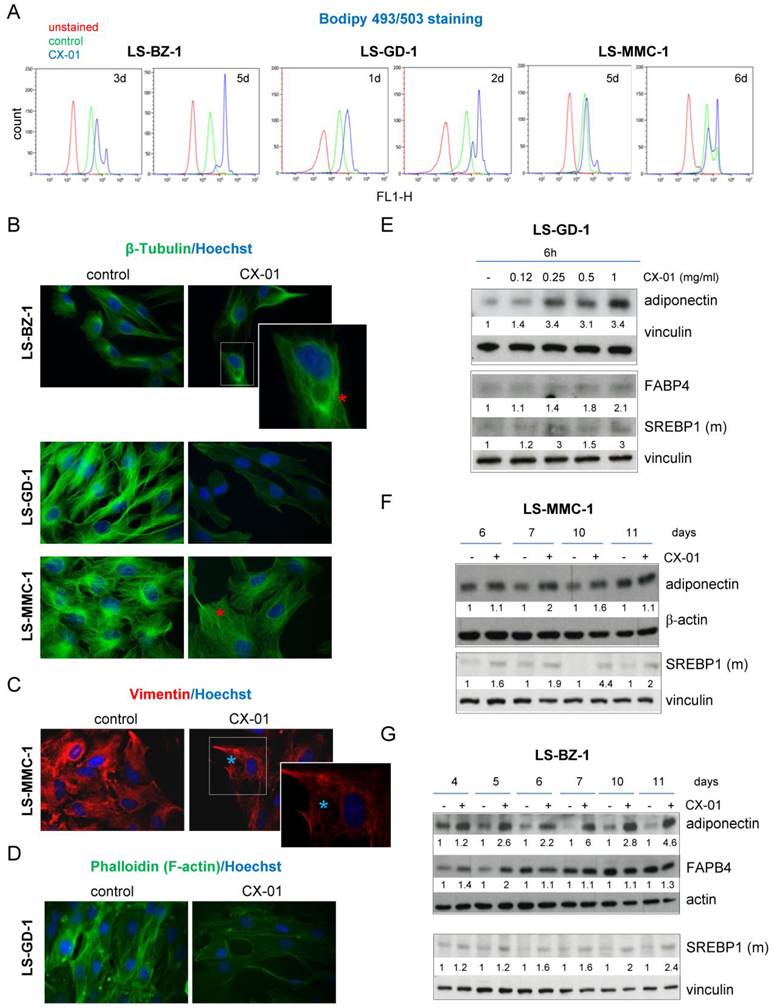 Int J Biol Sci Image