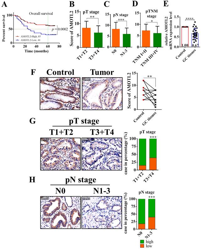 Int J Biol Sci Image